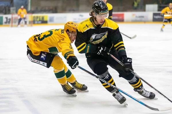 HC Vsetín online - oficiální­ internetové stránky VHK Vsetí­n | Generálka na derby bude ve znamení šlágru se Sokolovem