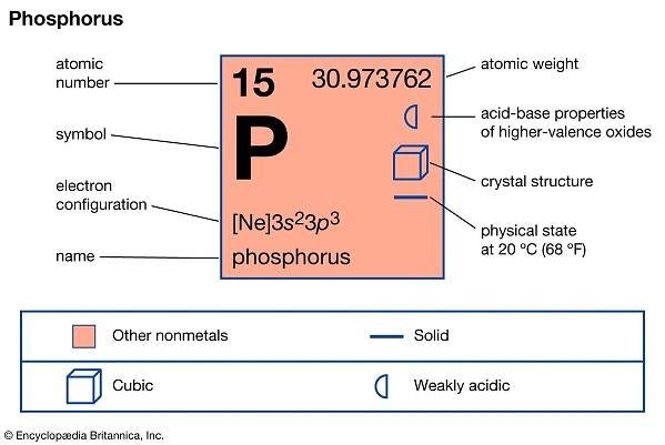 Phosphorus