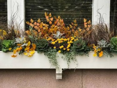 Podzimní dekorace (Zdroj: Shutterstock)