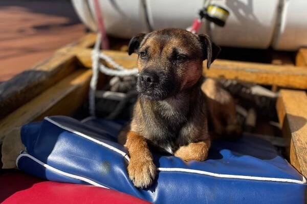 Photos of the traditional trading ketch Bessie Ellen