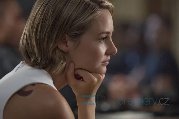 Série Divergence: Aliance (2016) - FOTOGALERIE - FILM | DVD-PREMIERY.CZ
