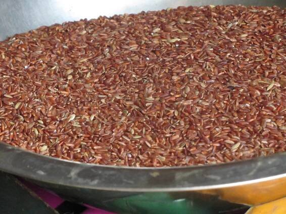 Red rice