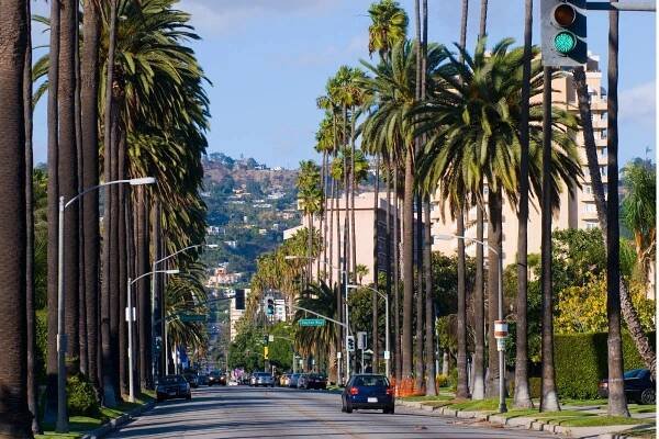 rezidenční scéna v beverly hills - beverly hills - stock snímky, obrázky a fotky