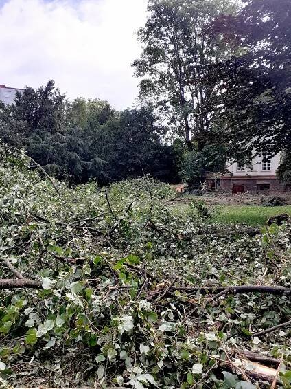 VIDEO: Bouře se ve čtvrtek prohnala Luhačovicemi, místní mluví o tornádu