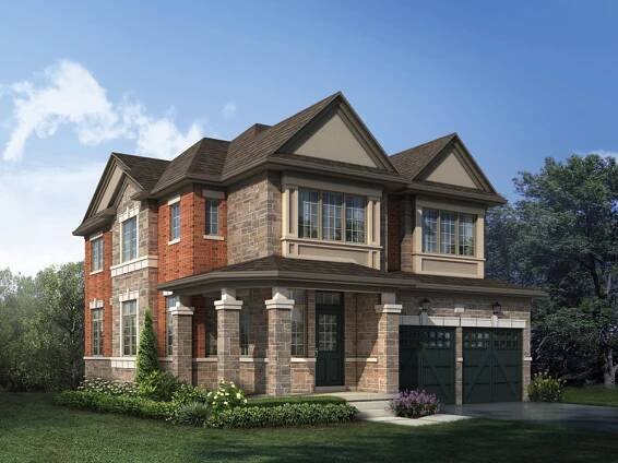 The Camellia , Elevation c