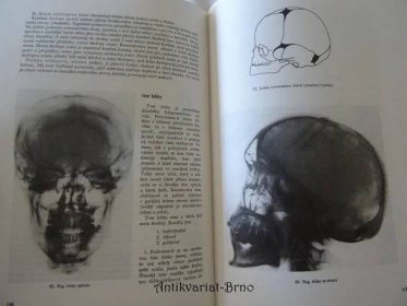 Anatomie člověka : vysokošk. učebnice. [Díl] 1 a 2, 1987
