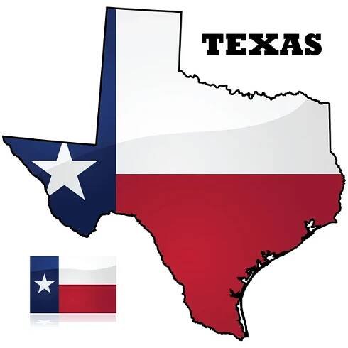 Texas map a vlajky — Ilustrace