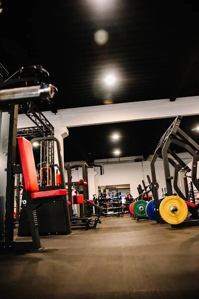 Galerie NoFear – No Fear Gym & GNX World