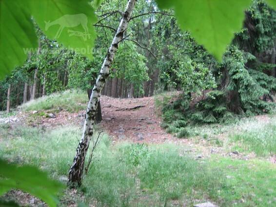 Rejkovice, hradiště Plešivec - archeolog.cz