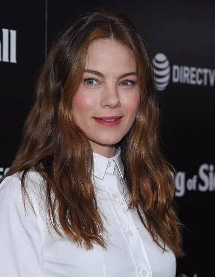 Michelle Monaghan arrives for the “The Vanishing of Sidney Hall” LA Screening on February 22, 2018 in Hollywood, CA with a tousled and loose hairstyle that has auburn highlights. These stand out against her stark white blouse and dazzling smile.