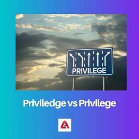 Privilegium vs Privilege: Rozdíl a srovnání