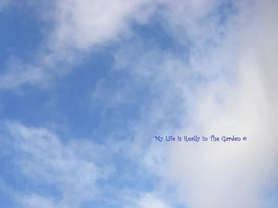 October | 2012 | My Garden – Mon Jardin – Mi Jardin – Mein Garten - Daily Adventures & Thoughts