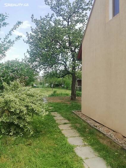 Pronájem Pozemek, Pohořelice, okres Brno-venkov