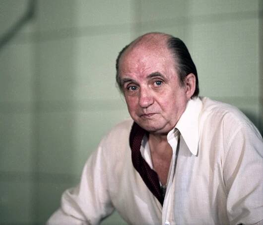 Hvězdný prach kolem zasloužilého umělce Karla Vlacha (1981)