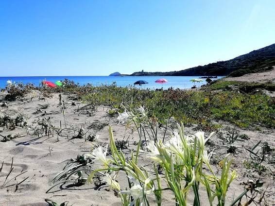 Sant’Antioco for you – Agriturismo e Glamping Erbematte