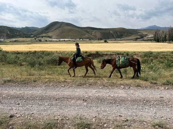 Short ride Kyrgyzstán 2023 | Horsemenistán