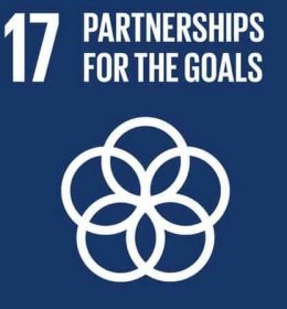 SDG 17 Partnerships