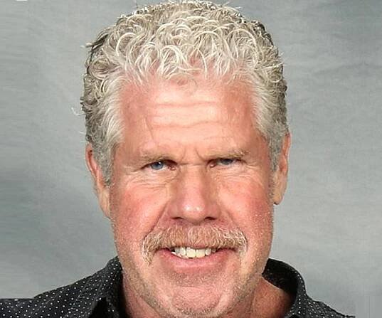 Ron Perlman Biography - Facts, Childhood, Family Life & Achievements