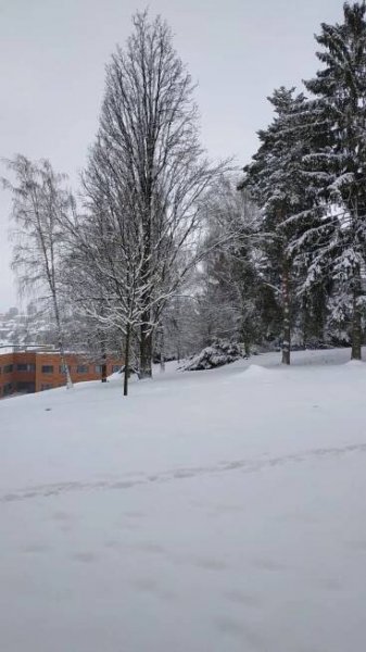 Nové Město na Moravě