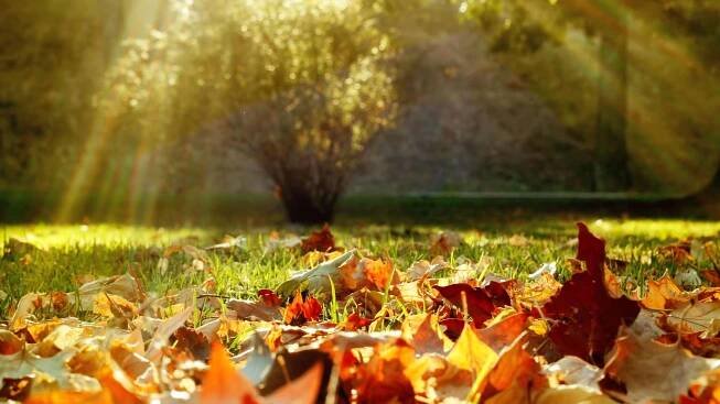 Otoño cálido en España 2023