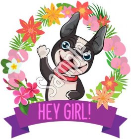 Hey Girl! | Funny Bonz