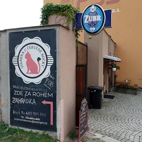 U červené kočky