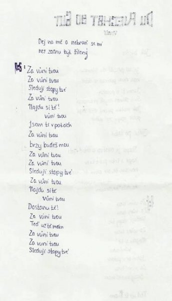 Hudební texty & poezie - Kristina Haidingerová