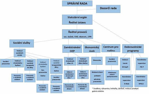 Organizační struktura - Otevřená okna, z. ú. :Otevřená okna, z. ú.