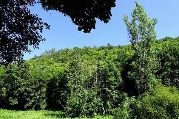 Dejvice – Dolní Šárka, červen 2019 | AUDREY software 