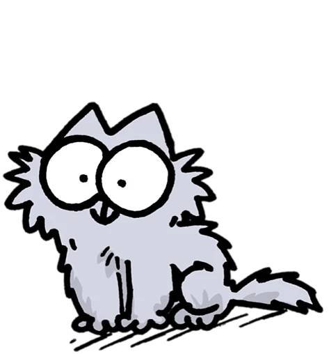 Kitten
