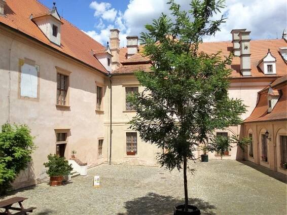 Fotografie - Starý zámek Jevišovice - 06.07.2023