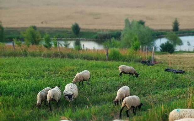 Život na ekofarmě 2023: exkurze pro školy | Lovime.bio