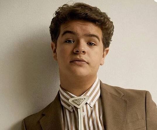 Gaten Matarazzo Biography - Facts, Childhood, Family Life & Achievements