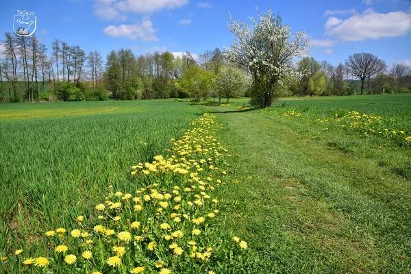 Prokopským údolím na Kost a dále Plakánkem na Humprecht – Turisticky gurman