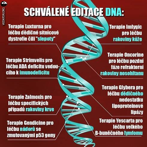 Editace DNA myší dodala naději předčasně stárnoucím dětem - VĚDÁTOR