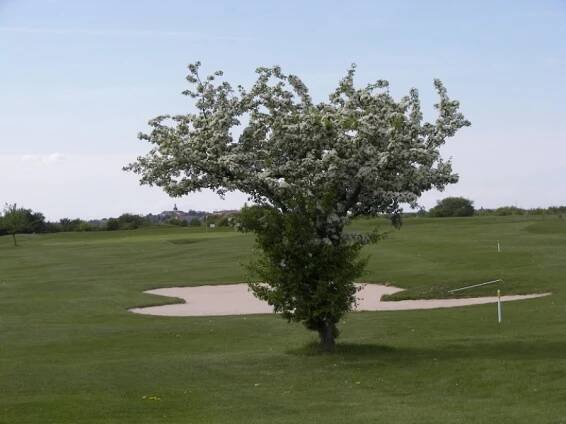 Golf Resort Benátky 