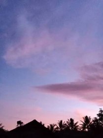 Krásný výhled na modré a fialové nebe a stinné siluety stromů v noci — Stock obrázek