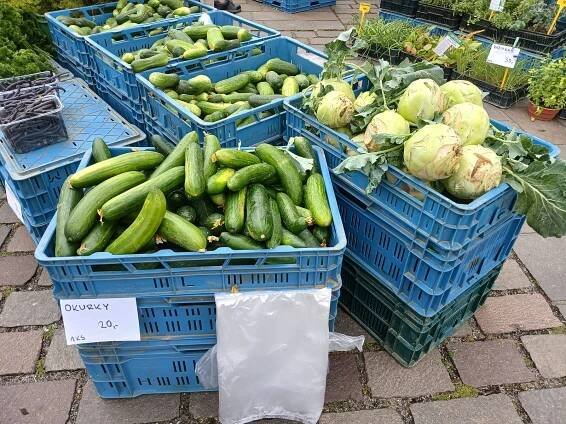 Farmářské trhy v Plzni lákají na meruňky i třešně, zájem byl o lišky ze Šumavy