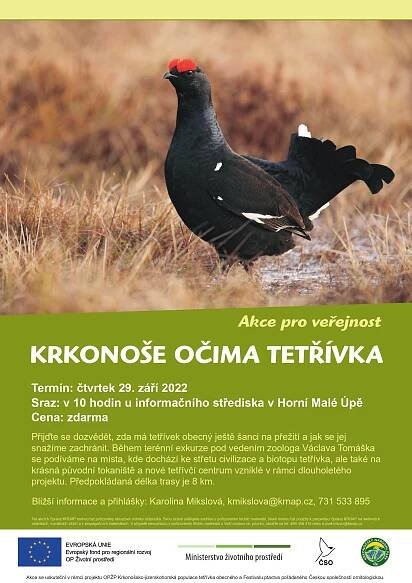 Pozvánka na 30. ročník Festivalu ptactva • Česká společnost ornitologická