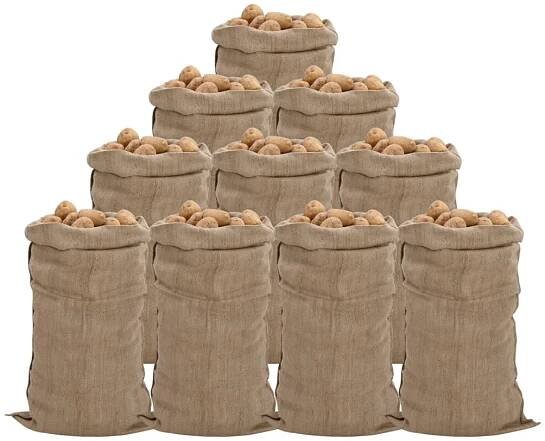 Jutové Pytle 10 Ks 100% Juta 340 G/M² 10 / 65 x 135 cm