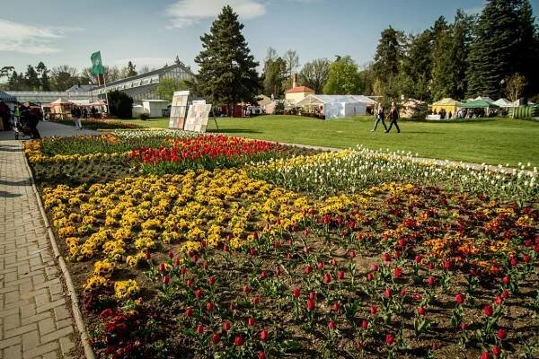 2017 | Výstaviště Flora Olomouc, a. s.