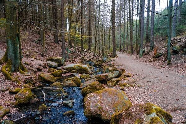 Der Silberbach