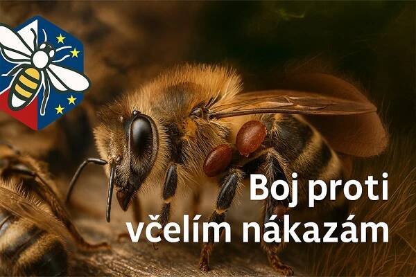 Boj proti včelím nákazám