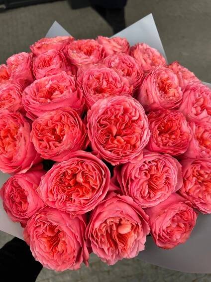 Pivoňkové Růže a Kytice Pivoňkových Růží | Cena od 1000 Kc | Doručení po Praze a ČR - UrbanBloom.cz