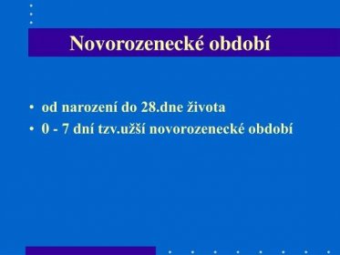 PPT - Novorozenec PowerPoint Presentation, free download - ID:4691361