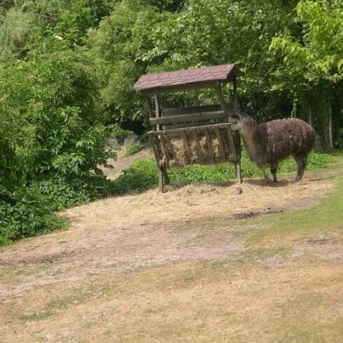 Zájezd ZOO Opole 15.6.2019 16
