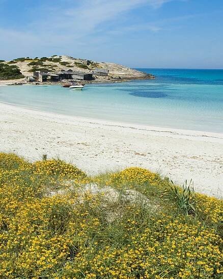 Mallorca, Menorca, Ibiza, Formentera y Cabrera | Colegio Oficial de Guías Turísticos de las Illes Balears