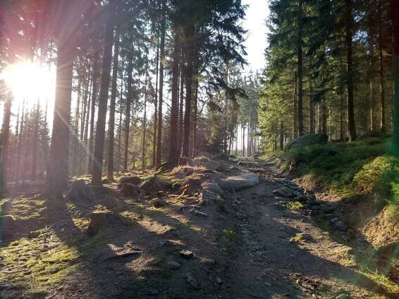 Krátká túra na rozhlednu Krudum ve Slavkovském lese