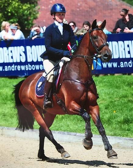 Hickstead 2016 - Forces Equine World