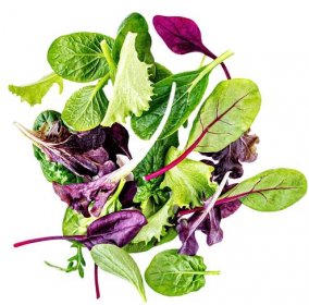 salátová směs s rukolou, frisee, radicchio, chard a jehněčím salátem. zelený salát izolovaný na bílém pozadí - beets pattern - stock snímky, obrázky a fotky
